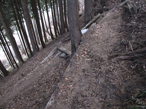 20160121hike (160)